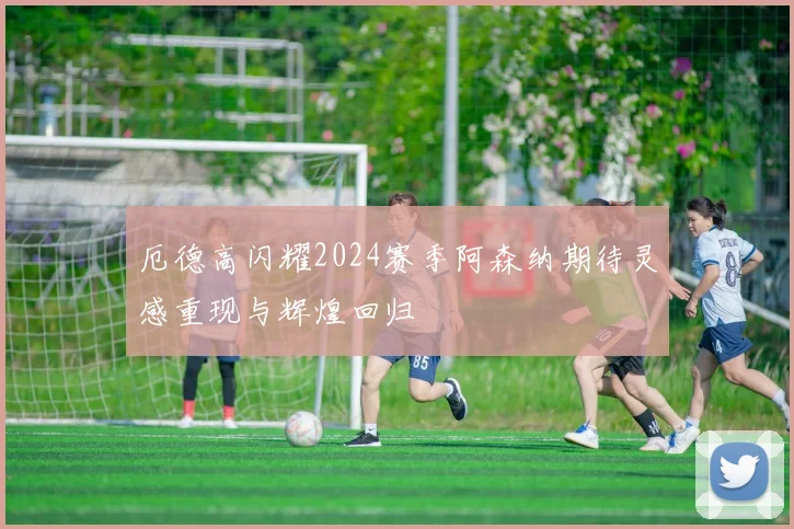 厄德高闪耀2024赛季阿森纳期待灵感重现与辉煌回归